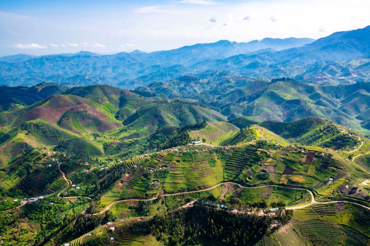 Terraced Rwandan hillsides under cultivation, ridge behind ridge to the horizon.